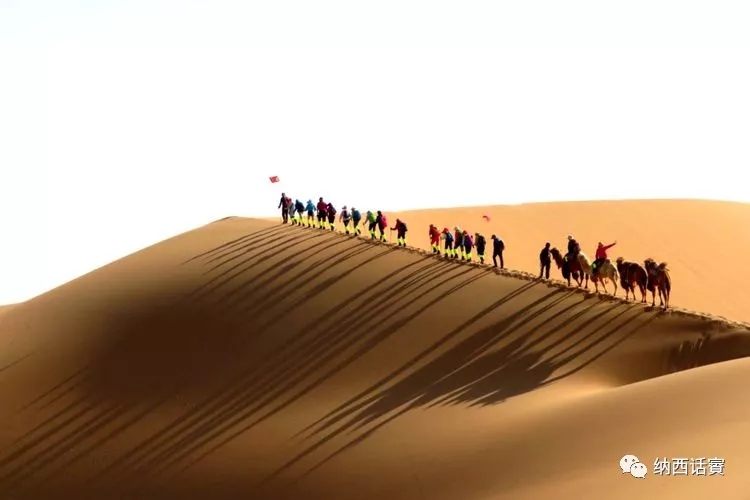 叶紫被雷劈穿越到异界,关于叶紫的穿越小说