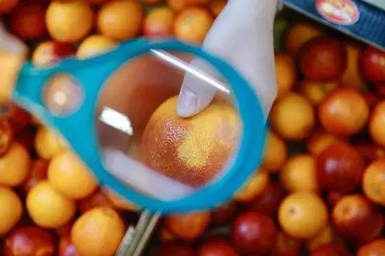 专访意大利外长,采访意大利总理