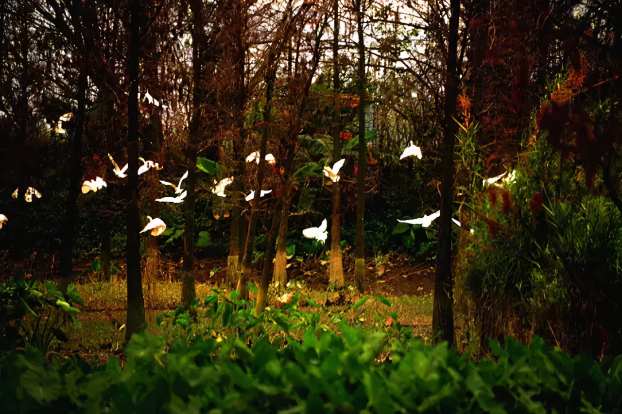 必打卡的宝藏公园,这些宝藏打卡地分分钟让人美到