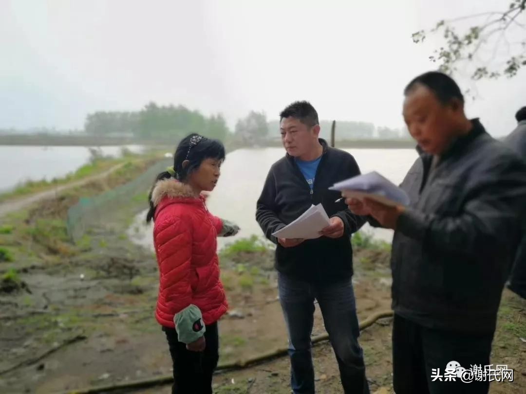 湖北监利新闻谢岳成,监利谢岳成