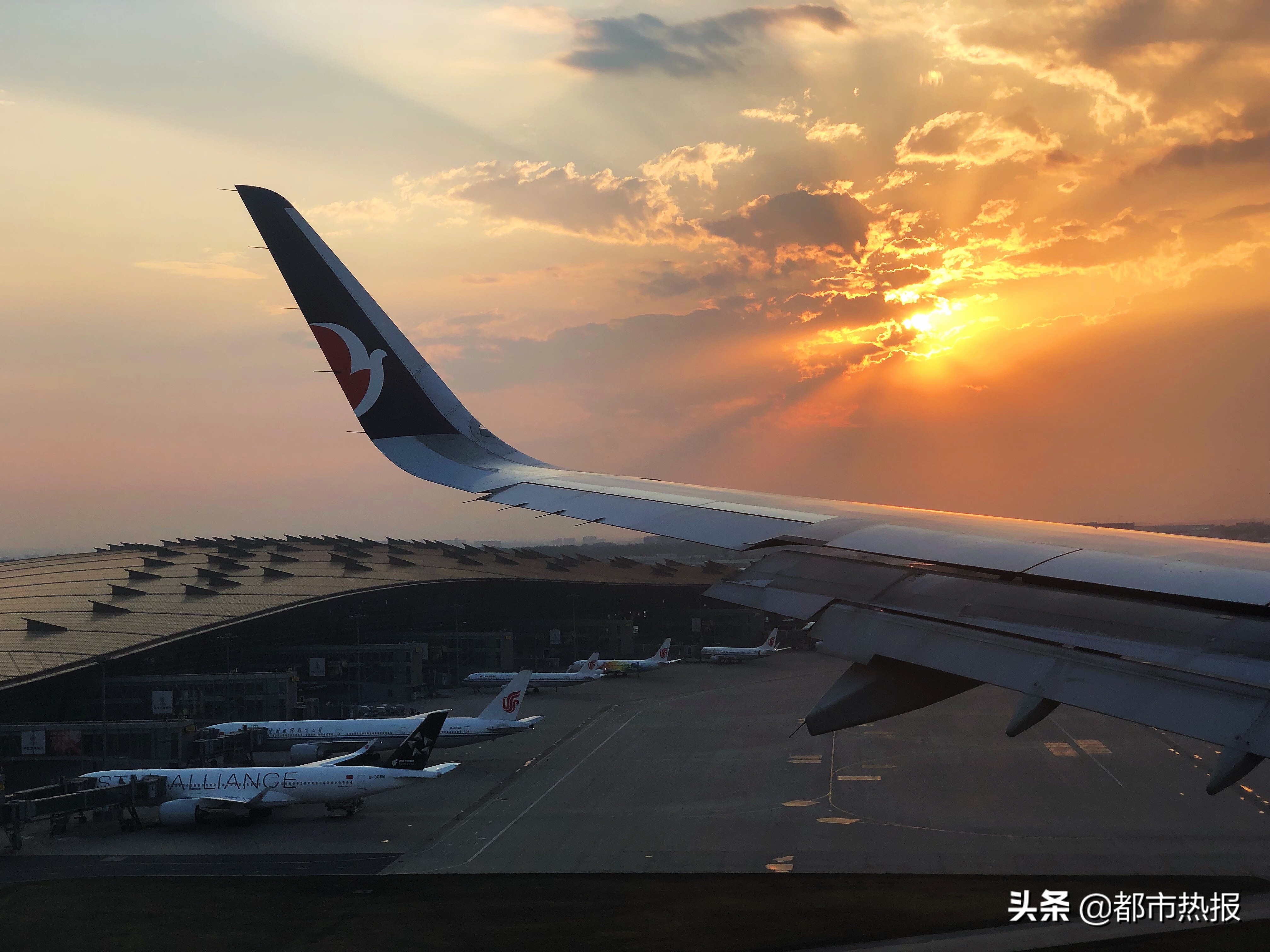 澳门出境游热门,澳门出境游免费