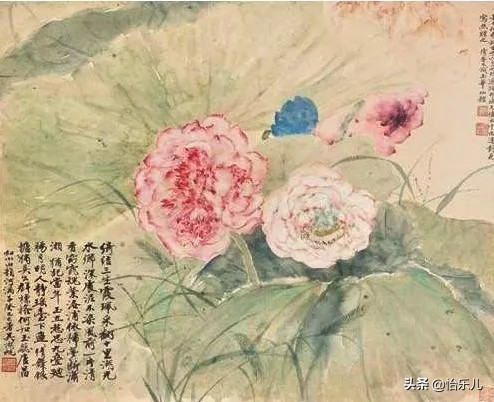 为何古今皆钟爱并蒂莲图？一片红情绿意，愿生生总开一处