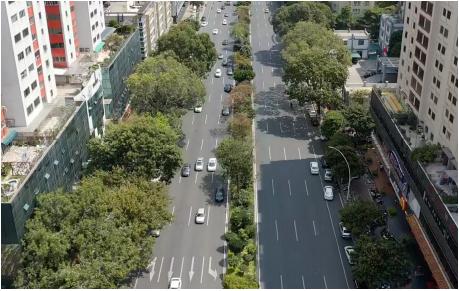 金砂东、大学路、潮汕路，汕头市区多条道路如何提升品质？