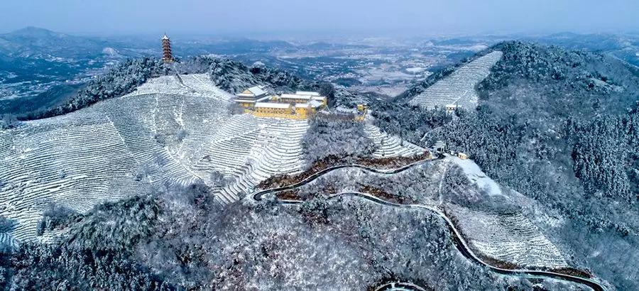 大局已定2020,大局已定开始扭转乾坤