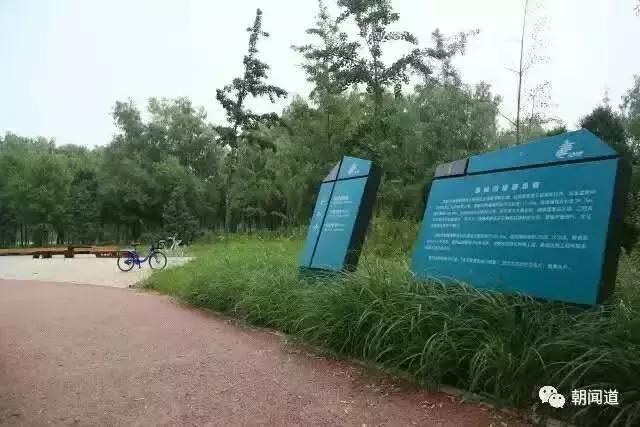 望京体育公园好去处,适合游玩健身的好去处