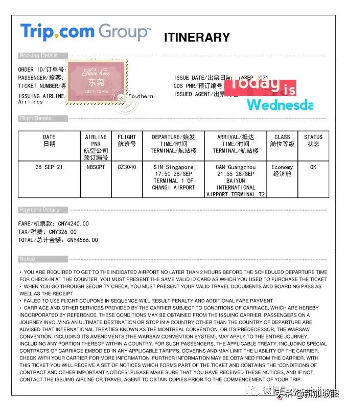 13岁女儿出国留学,中国飞新加坡攻略