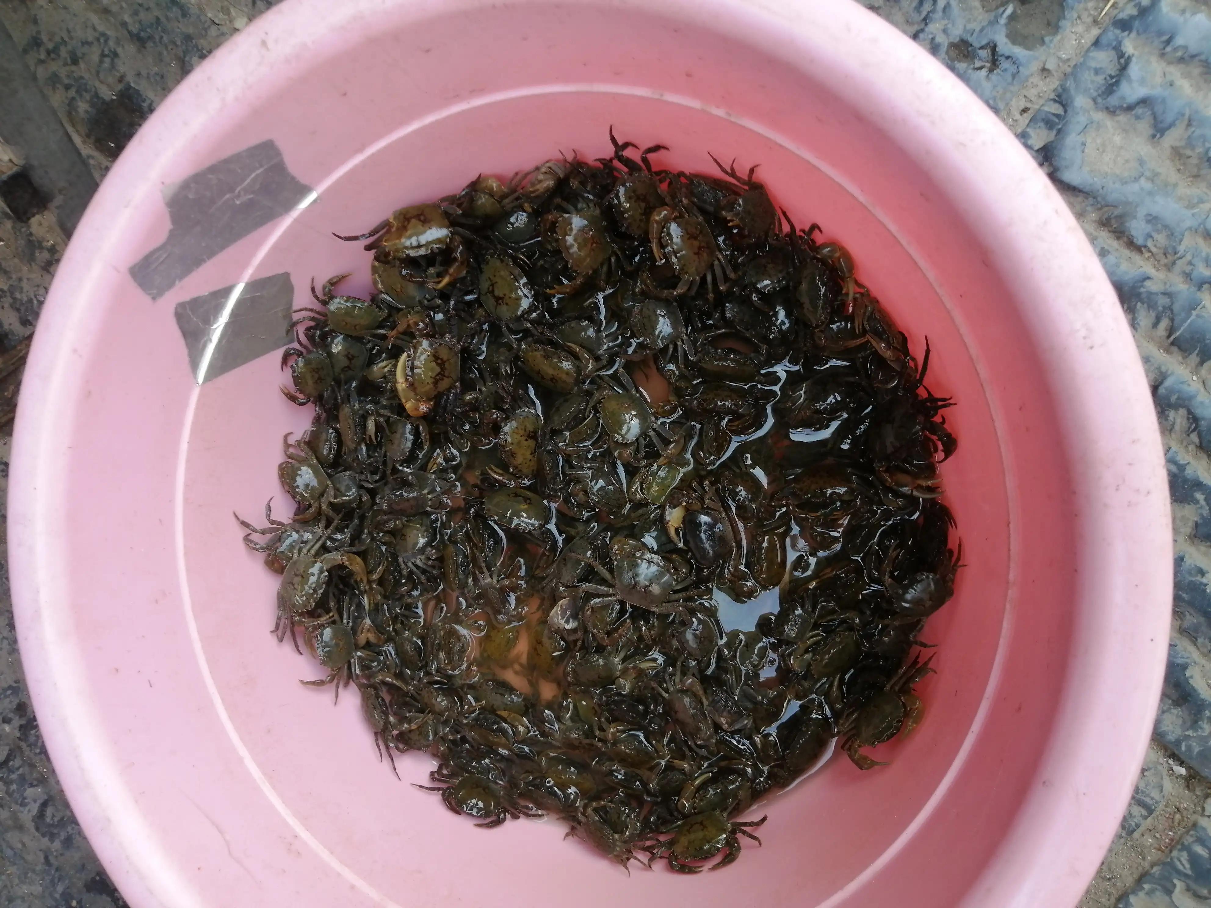 桂林山水让我流连忘返,桂林山水绝对让你流连忘返