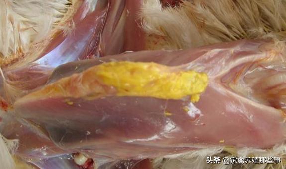 滑囊炎症用什么药有效,滑液囊反复发作怎么办