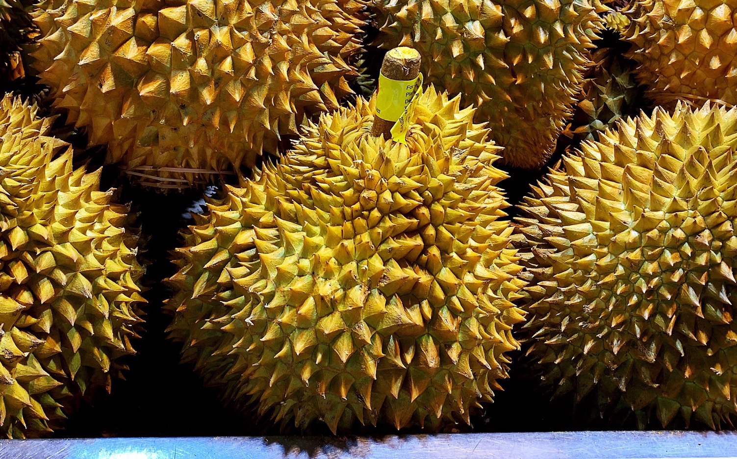 榴莲怎样挑榴莲肉多,榴莲要怎么挑才皮包肉多