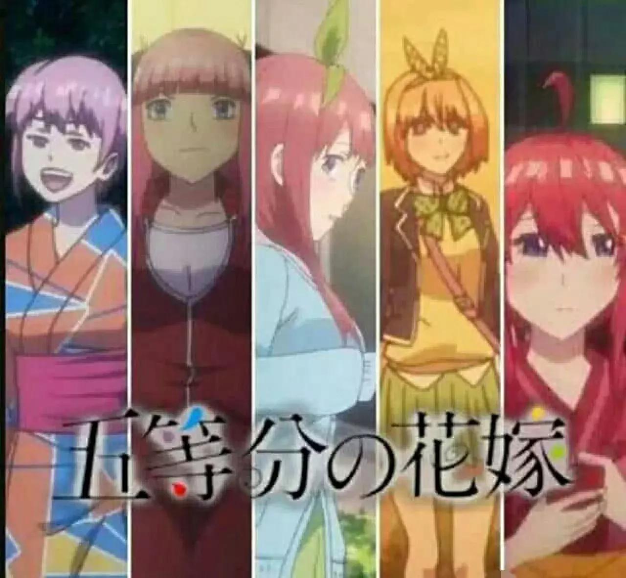 五等份的花嫁后续,五等份的花嫁还会出吗