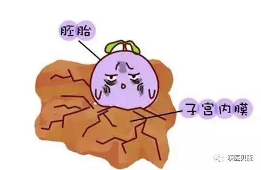 胎停育，别忽视身边的七大隐形“凶手”