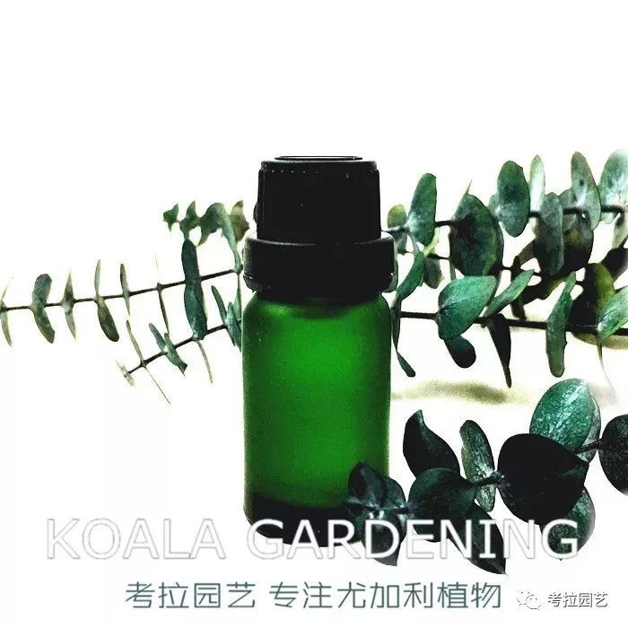 大地的恩赐图片,大地的馈赠是大天域吗