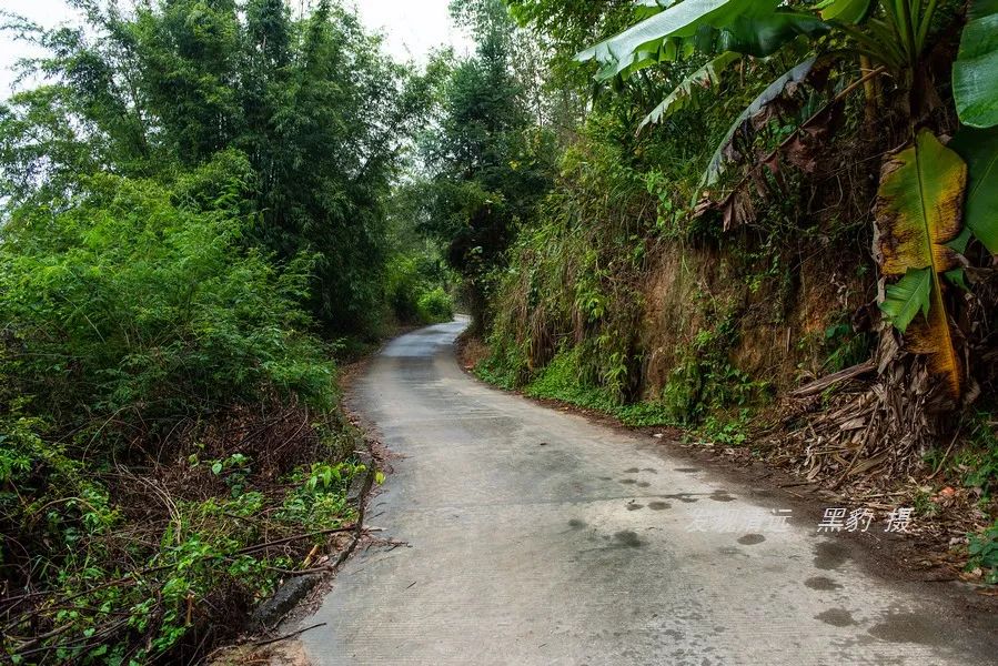 广东哪里有野温泉泡,藏在惠州的一个免费野温泉