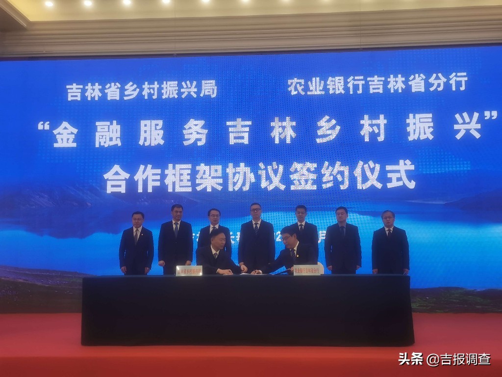 国家投入乡村振兴的钱去哪了,吉林省乡村振兴项目回报率