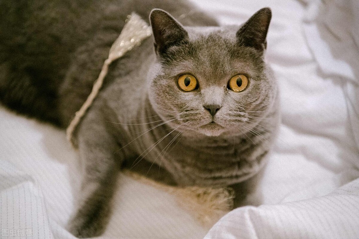 怎样避过尴尬,一个人该怎么避免尴尬