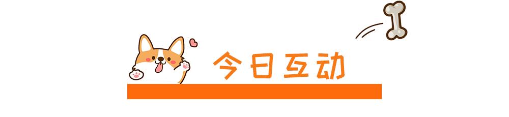 什么狗最好养又听话不掉毛不乱叫,什么狗适合家里养不掉毛也不臭