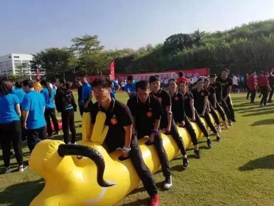 华侨城中学高中部喜报,2019华侨城中学录取分数线