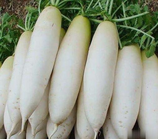 萝卜好不好，看这4点就知道，避免“空心”萝卜，菜贩：真内行