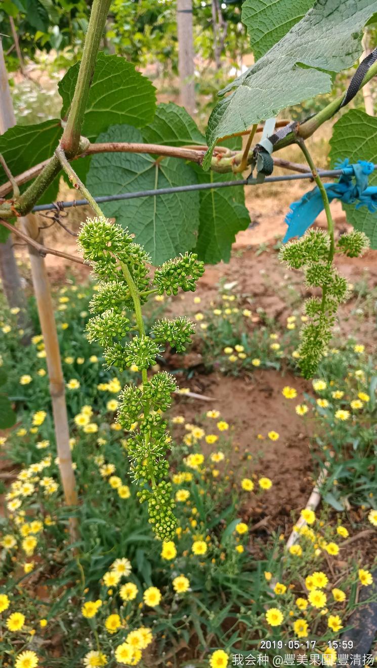 诗和远方在身边完整版,诗和远方在身边