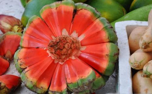 菠萝和哪些吃会中毒,和菠萝很相似的水果但是不能吃