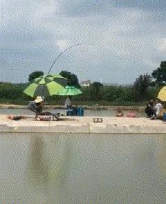 路亚入门路亚如何才能钓到鱼,路亚在哪种地方比较适合钓到鱼