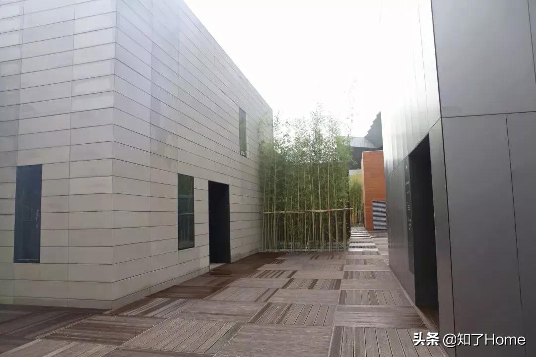 剧变之后聚变来袭后疫情时代的春天它来了