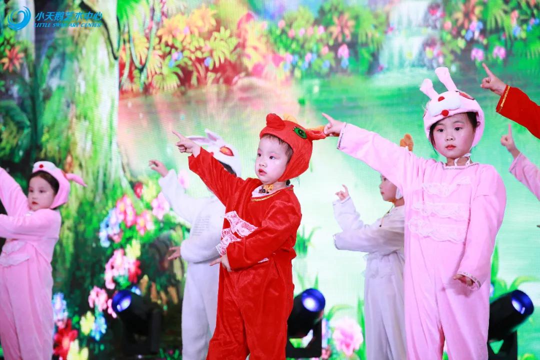 小天鹅艺术中心专场演出现场,小天鹅艺术中心专场演出