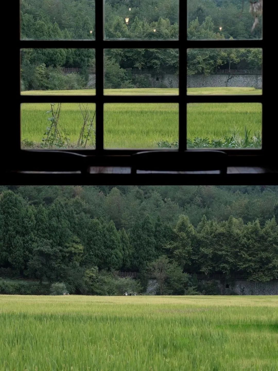 浙江江湖美食,浙江特色美食这几道你可都吃过