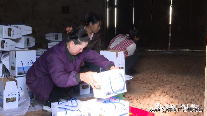 卖火了！弥勒紫色“将军芋”！政府包了