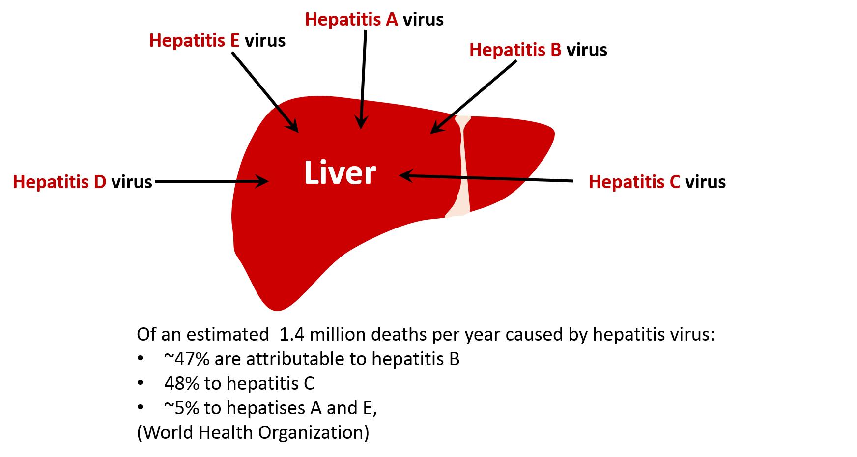 肝炎孕妇怀孕期间应该注意哪些,怀孕期急性肝损害叫什么综合症