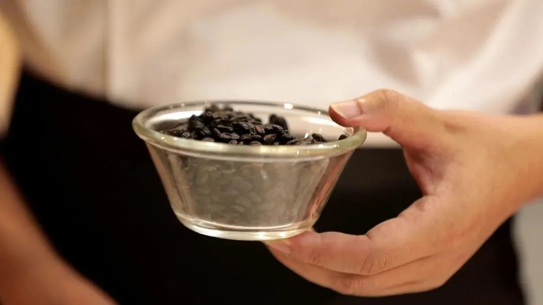 长康味你而来，美味白鲢诞生记