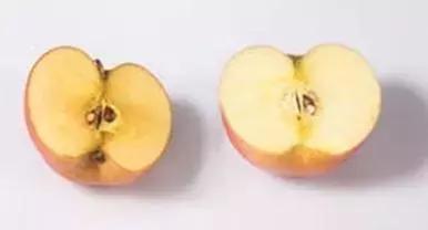 美容整形医生不会告诉你的秘密,脸上用高端化妆品真的管用吗