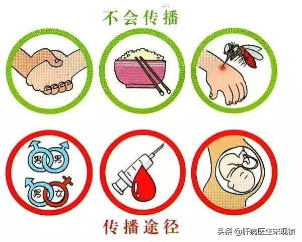 当爱情遇上了乙肝,乙肝谈恋爱需要告知对方吗