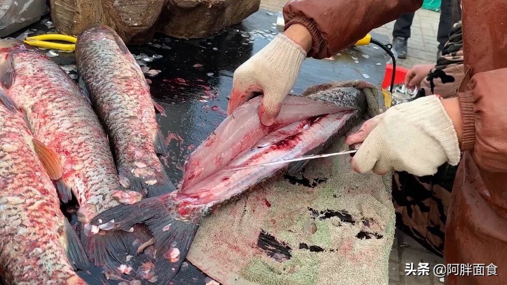 腊鱼步骤,腊鱼的做法和步骤