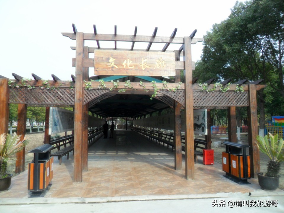 上海马陆葡萄园自由采摘,上海葡萄采摘好去处