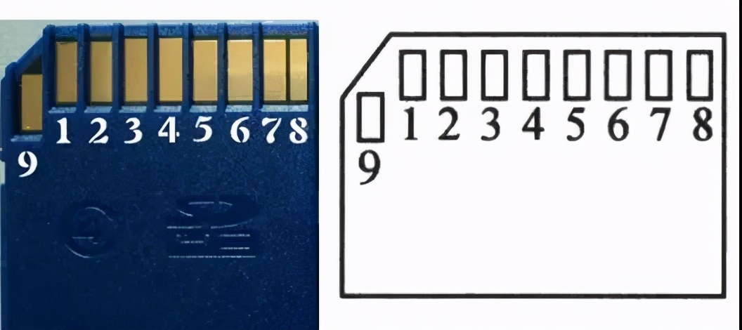 sd卡tf卡通用吗,sd卡tf卡照片