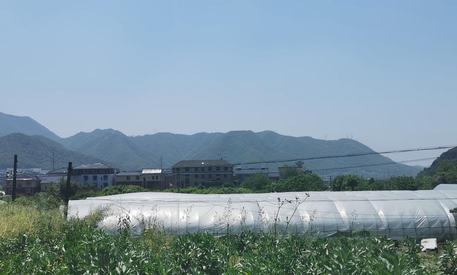 单价1.55万，银湖又一“门槛福利”来袭|房叔跑盘No.63