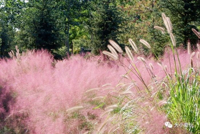 亲子游玩地点推荐北京亦庄,亦庄周末带娃好去处