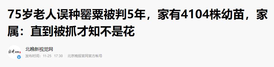 老人误种100株,七旬老人种4千多棵烟被判5年