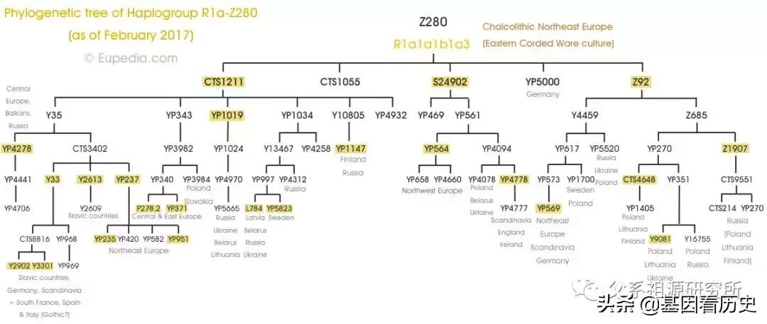 父系R1a人群系列——包括中国的楼兰人