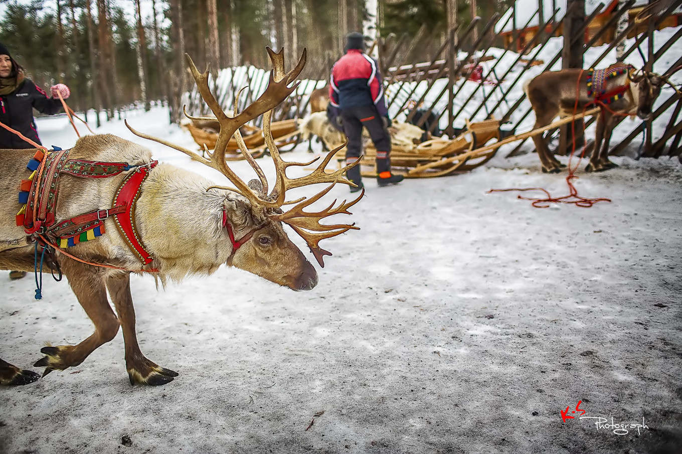 果小姐的日常,果小姐的慢生活