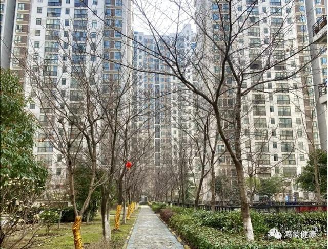 这个小区楼栋70户4人确诊，他们为何不卖惨？揭开逆境下的自强自愈秘笈！