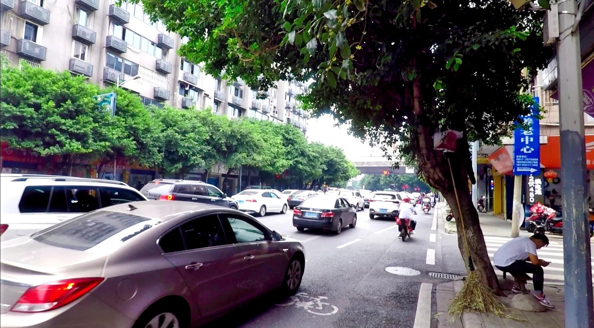 四川南充自由行游记,游遍四川之阆中