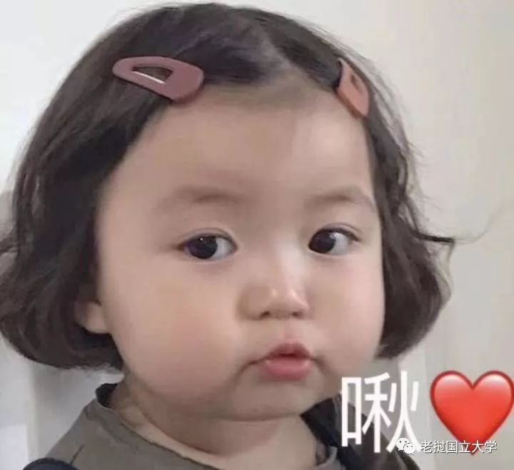 小语种专业那么多到底选哪个,小语种专业大学排名及分数线