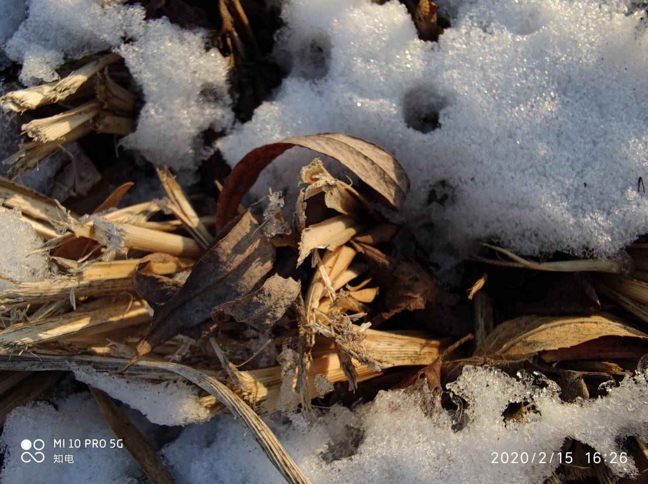 小米10pro的上手体验,小米10pro全方位测评