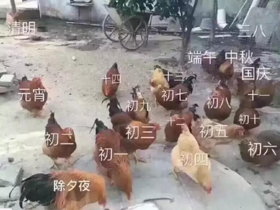 外地人眼中的海南是怎么样的,外地人眼里的海南人穷吗