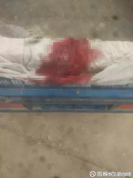 8岁女童无故被打,8岁女孩被打流血