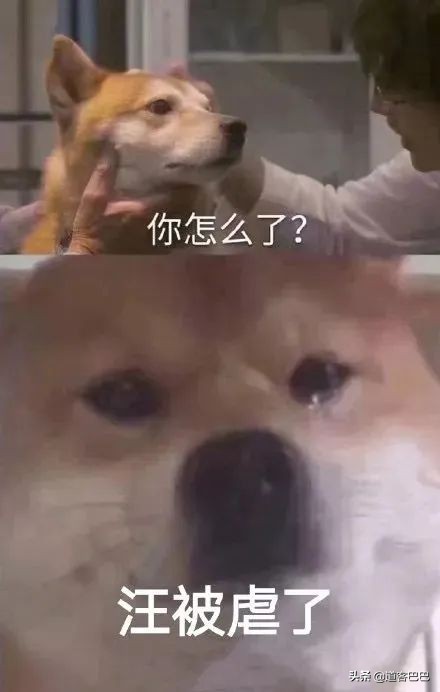 吐血整理!提高工作效率的7款APP,高颜值又好用关键还免费