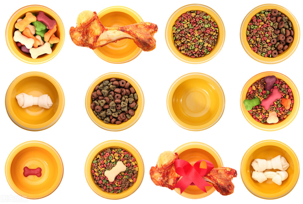 不同年龄段的狗狗吃什么,宠物喂食方法大揭秘让养宠更轻松