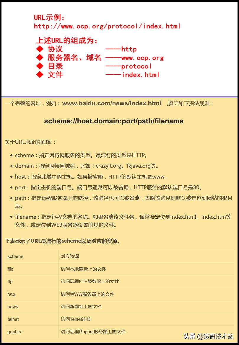 ip协议报文详解,网域ip地址解析